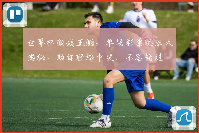 世界杯激战正酣，单场彩票玩法大揭秘，助你轻松中奖，不容错过