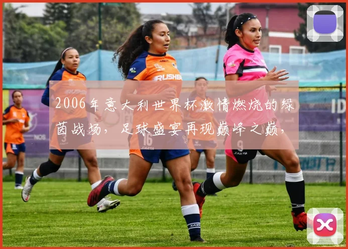 2006年意大利世界杯激情燃烧的绿茵战场，足球盛宴再现巅峰之巅，激情碰撞