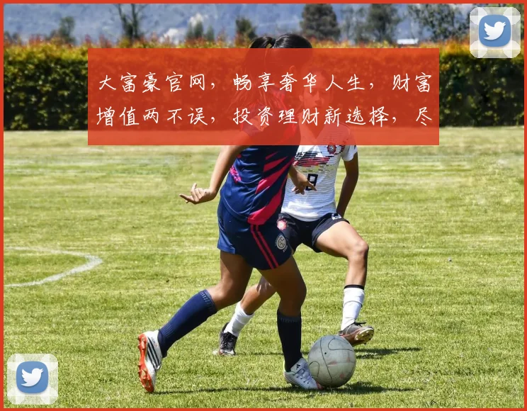 大富豪官网，畅享奢华人生，财富增值两不误，投资理财新选择，尽在大富豪官网